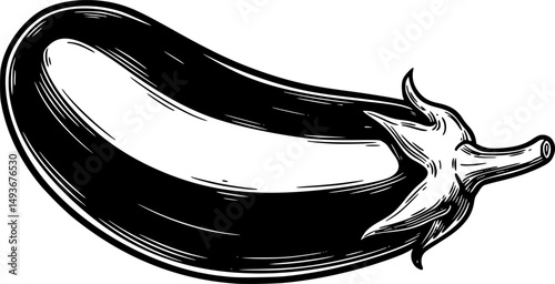 eggplant line art silhouette vector illustration
