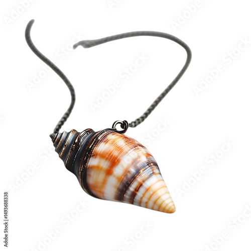 Trendy Minimalist Shell Necklace Featuring One Unique Isolated on Transparent Background