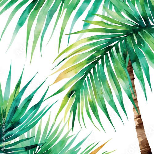 Watercolor palm leaf vector. Tropical foliage in soft green tones with artistic texture.