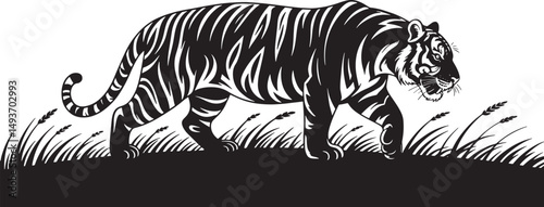Silhouette of a Tiger Walking Through Grass Vector Illustration Wildlife Scene