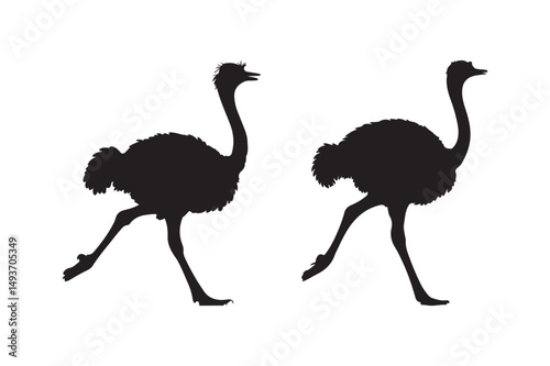 Ostrich Silhouette Clipart Running Bird Vector Graphic for Wildlife and Safari Designs