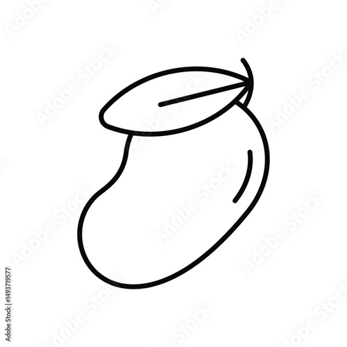 Mango Vector icon