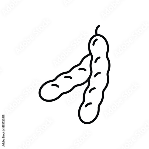 Tamarind Vector icon