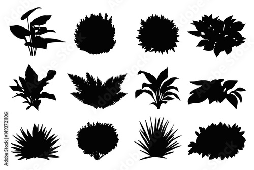 Set of black plant and bush silhouettes. Includes a variety of tropical leaves, shrubs, ferns, and ornamental foliage. Perfect for landscape design, garden planning, or botanical illustration projects