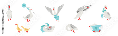 Grey Goose Character in Different Activity Vector Set