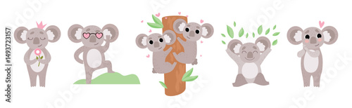 Adorable Koala Grey Animal in Various Actions Vector Set