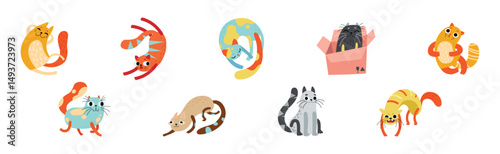 Cat Pet and Domestic Animal with Cute Snout Vector Set