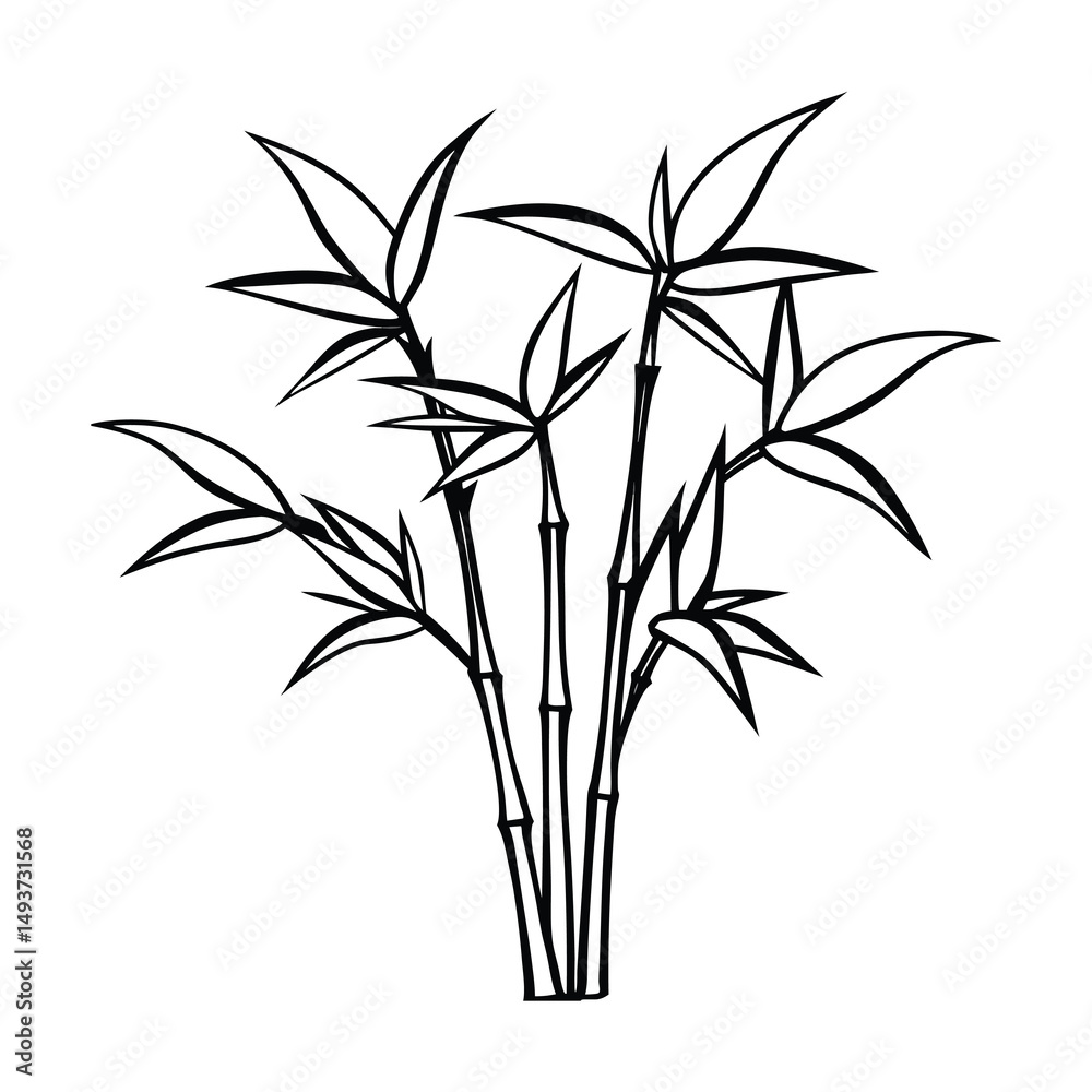 Obraz premium bamboo vector illustration
