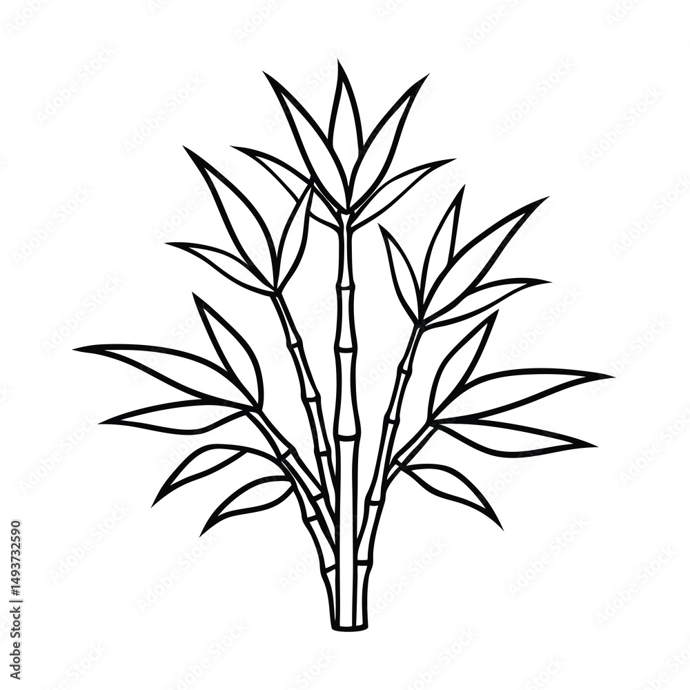 Obraz premium bamboo