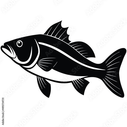fish vector illustration
