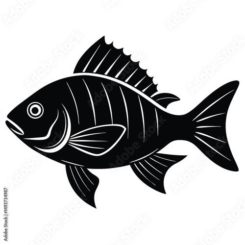 vector illustration of a fish