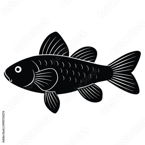 vector illustration of a fish