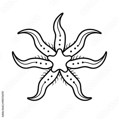 brittle star outline marine animal vector