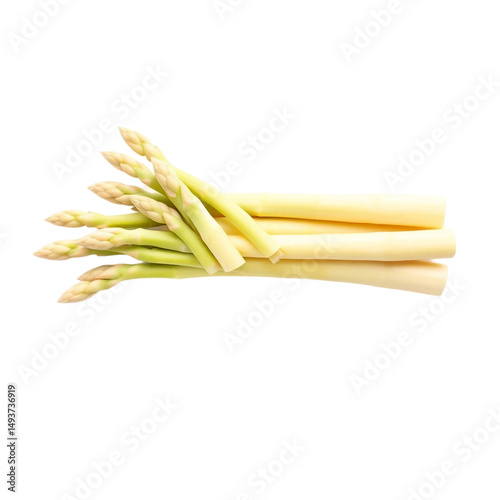 white asparagus isolated on white background, cutout on white background
