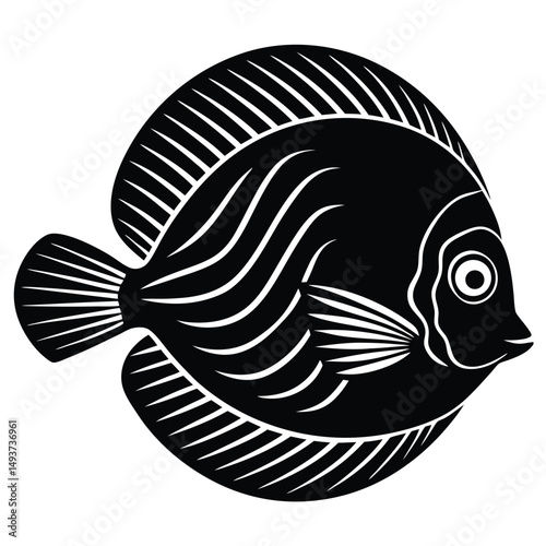 black and white fish