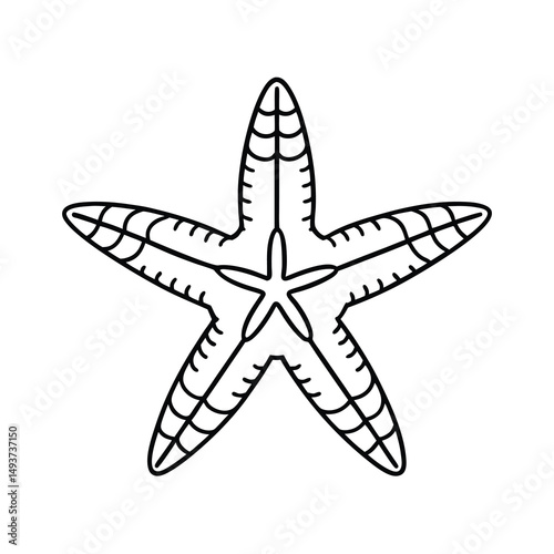 brittle star outline marine animal vector