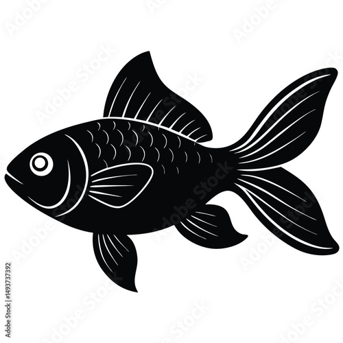 fish on a white background