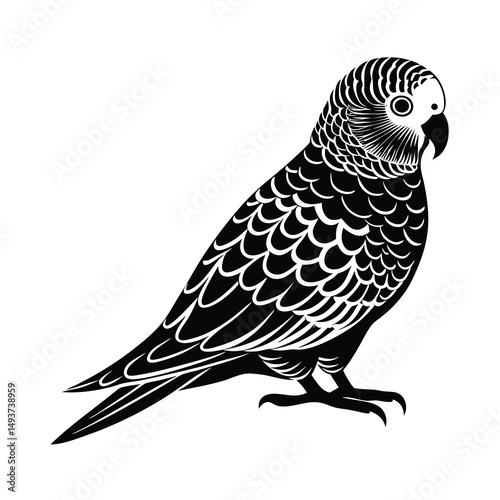 budgerigar parrot silhouette black vector