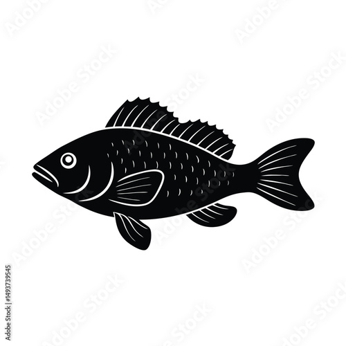 vector illustration of fish