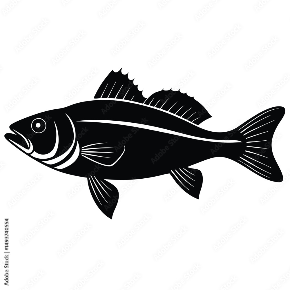 fish vector illustration fish vector illustration