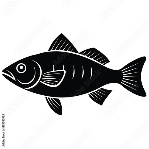 fish on a white background
