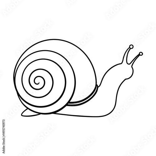 escargot line art vector