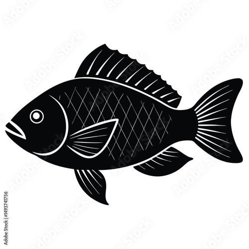 fish on a white background