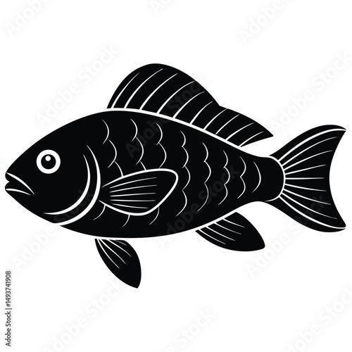 fish vector illustration
