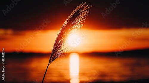   A close-up of a plant by water with the sun behind it and water in front