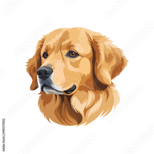 golden retriever dog