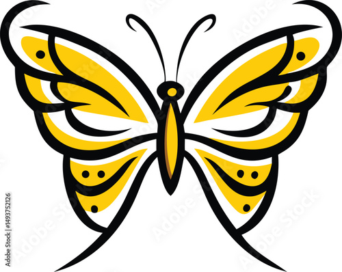 butterfly on a white background