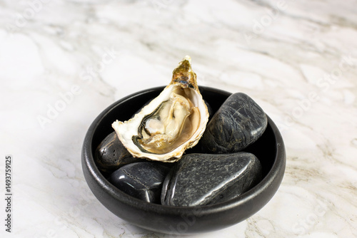 Oyster