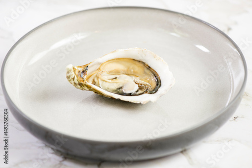 Oyster