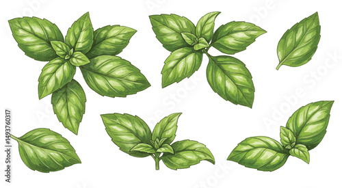 Adobe Illustrator Artwork
