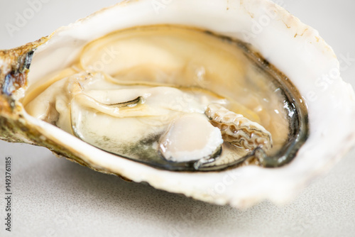 Oyster