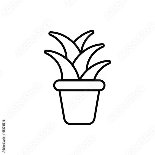 Aloe Vera Vector icon