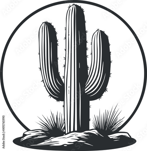 Black and white illustration of a saguaro cactus with spines growing on rocky desert ground surrounded by desert shrubs