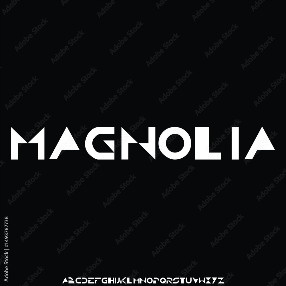 Fototapeta premium Elegant high contrast serif display font vector