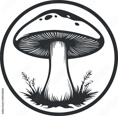 Black and white illustration of a mushroom with detailed gills and stem inside a circular frame