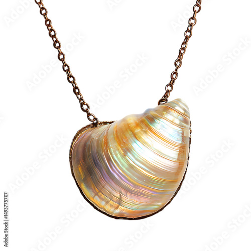 Bold Minimalist Shell Necklace Featuring One Large Isolated on Transparent Background