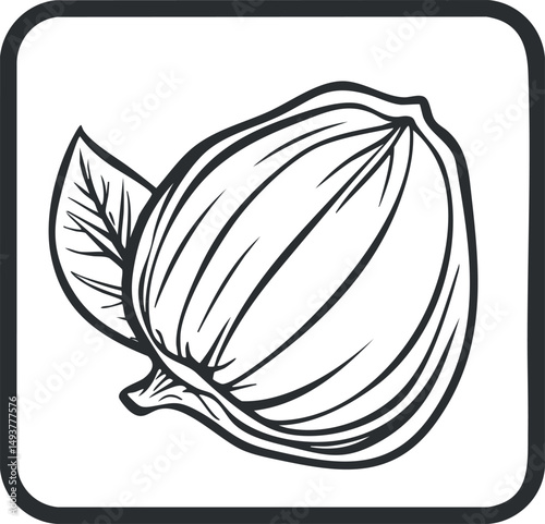 Black and white outline illustration of a single hazelnut with leaf on a square background