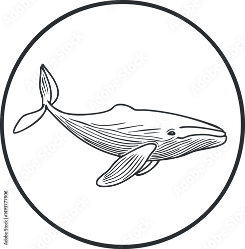 Black and white line drawing of a whale inside a circle illustrating marine life and ocean mammal