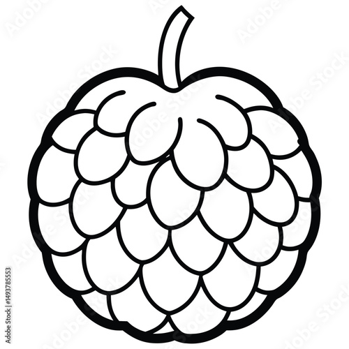 vector illustration of a  custard apple isolated