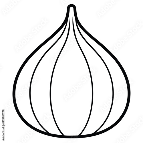 onion vector illustration