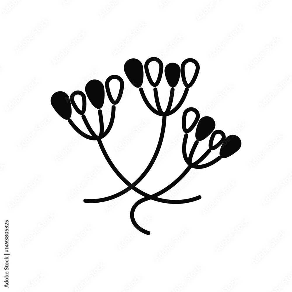 Obraz premium Caraway Vector icon