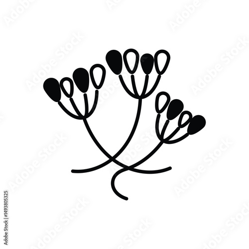 Caraway Vector icon
