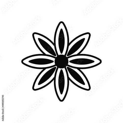 Star Anise Vector icon