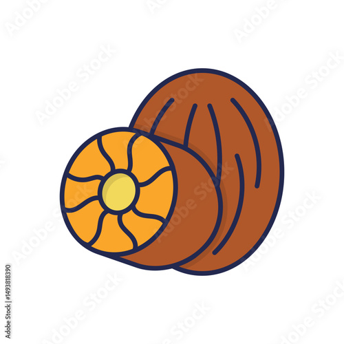 Nutmeg Vector icon