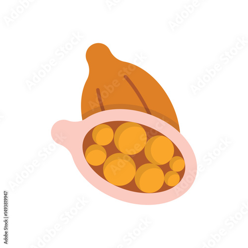 Cardamom Vector icon