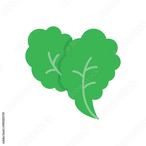 Lettuce Vector icon